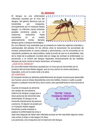 El Dengue Pdf