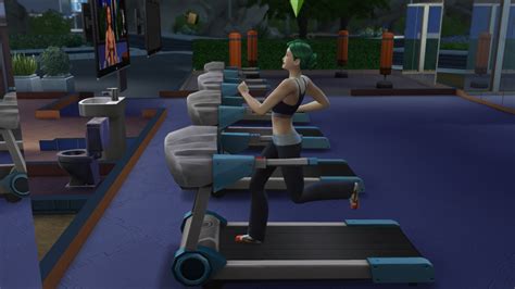 Sims Jungle Gym