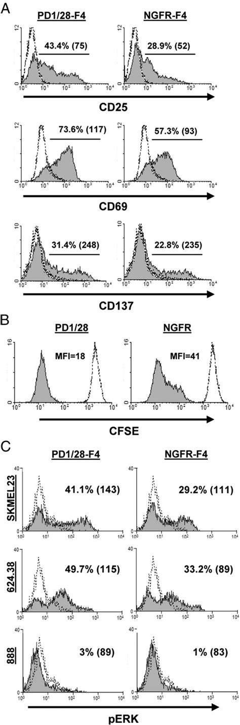 Activation Marker Upregulation And Proliferation Assay A Transduced