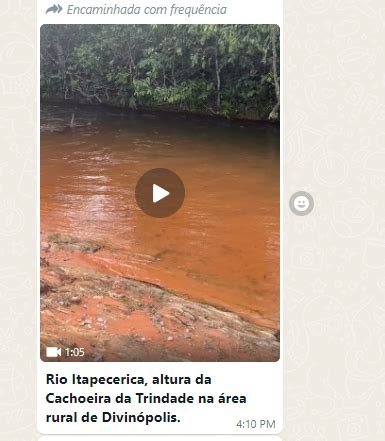 V Deo De Sucuri Carregando Capivara No Rio Itapecerica Falso Portal Mpa