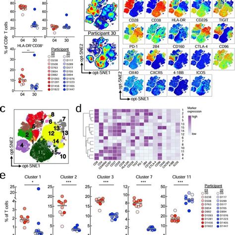 Phenotypic Characterization Of T Cells High Dimensional Flow Cytometric