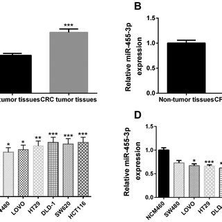 Hsa Circrna Is Upregulated And Mir P Is Downregulated In