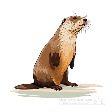 Vector Cartoon Beaver With Canadian Flag Clip Art Illustration