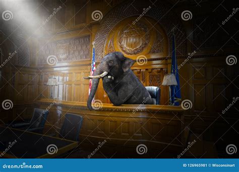 Funny Surreal Elephant Judge Lawyer Courtroom Law Stock Image