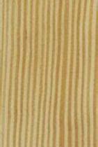 de Caroline : Essence de bois Amérique du Nord | Bois Center