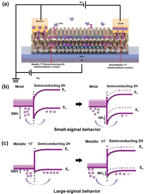 Schematic Of Sensing Mechanism And Energy Band Diagram Of Mote