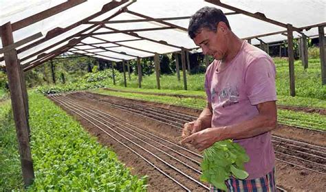 Programa de Assistência Técnica e Extensão Rural vai inserir