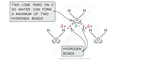 Hydrogen Bonding Cie A Level Chemistry Revision Notes 2022