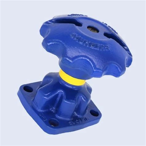 Cast Iron Saunders Manual Bonnet Valve Valve Size 25 Mm At Rs 2300