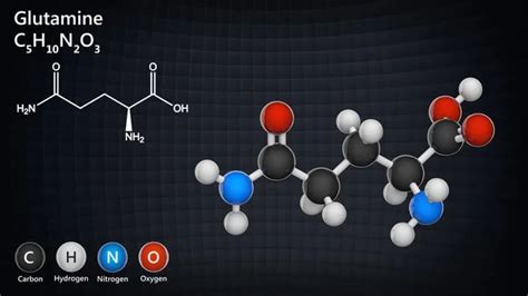 Amino Acid Molecule Structure