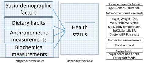 The Conceptual Framework Of The Multinomial Logistic Regression Mlr Download Scientific