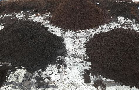 Cocopeat Decomposed Organic Coco Peat For Agriculture Nursery Tissue