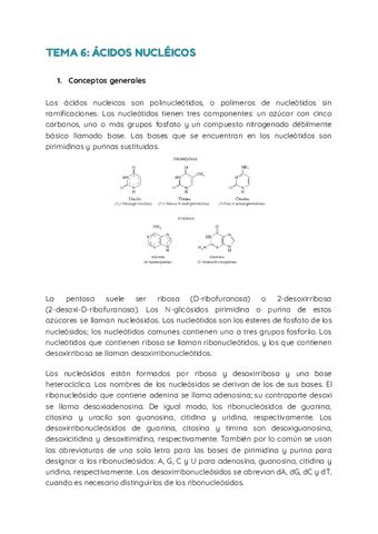 Tema 6 Acidos Nucleicos Pdf