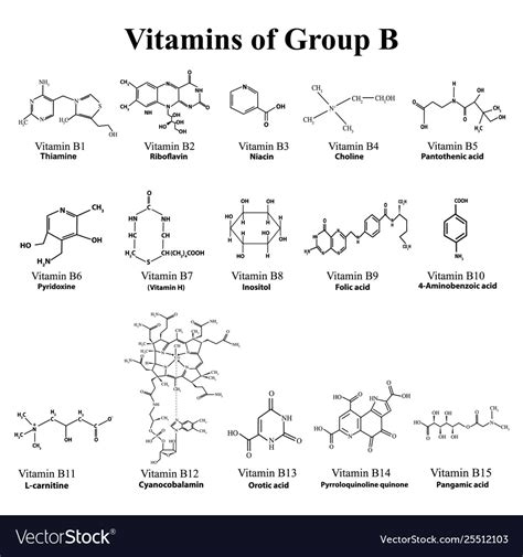 Water Soluble Vitamins Set Group B Royalty Free Vector Image