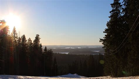 Bildet tre natur skog fjell snø vinter himmel sol soloppgang