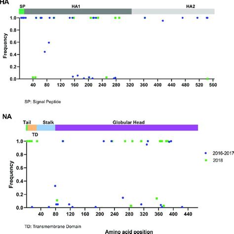 Distribution And Frequency Of Amino Acid Point Mutations In Proteins Of