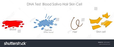 Dna Test Blood Sweating Saliva Cheek Stock Vector Royalty Free