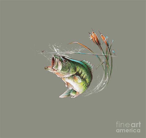 Largemouth Bass Jumping Drawing