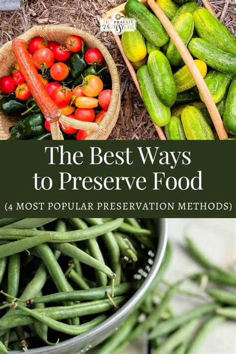 The Best Ways To Preserve Food Artofit