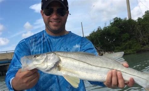 Fishing Cape Coral FL Archives - Blue Line Fishing Charters, LLC