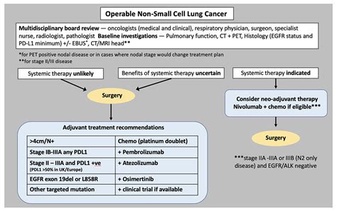 Adjuvant IO for Operable NSCLC: Where Does It Fit a Changing Landscape ...