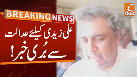 Bad News For Ali Zaidi From Court Breaking News Gnn Youtube