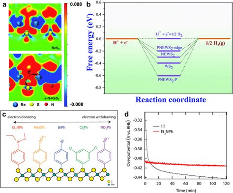 1T Phase Transition Metal Dichalcogenides For Hydrogen Evolution