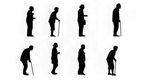 3D Rendering Silhouette Group Of Elderly Or Old People In 2024 Old