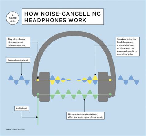 Noise Canceling Earbuds: A Beginner's Guide To Buying The Best For You