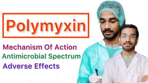 Polymyxin Mechanism Of Action Antimicrobial Spectrum Adverse