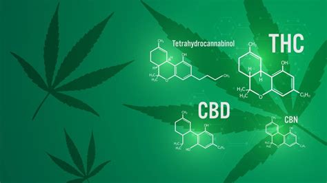 Understanding Your Ratios Of THC And CBD