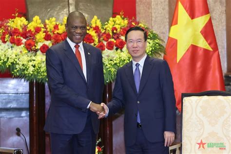 Vietnam treasures partnership with South Africa: President