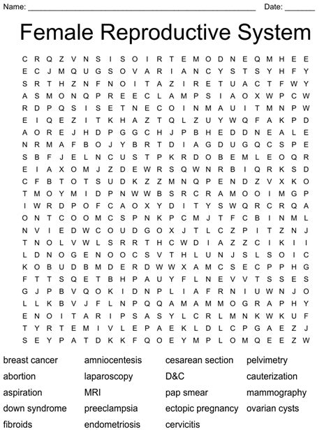 Female Reproductive System Word Search Wordmint