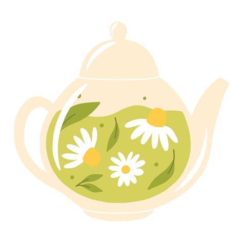 Teapot With Green Tea And Chamomile Herbal Tea With Chamomile In A