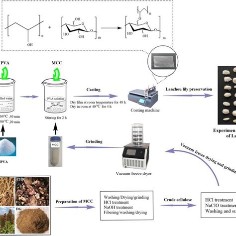 Preparation Procedure Of Pva Mcc Composite Films Download Scientific