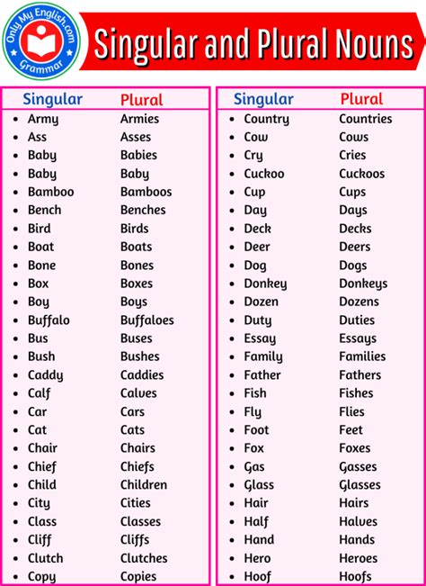 List Of Singular And Plural Nouns Words Artofit