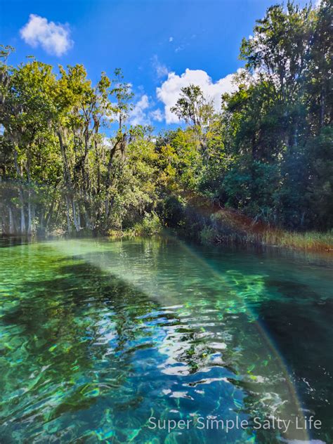 Top Things To Do While Camping In Rainbow Springs • Florida • The Simple Salty Life