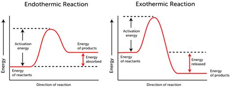 exothermic vs endothermic reaction graphs