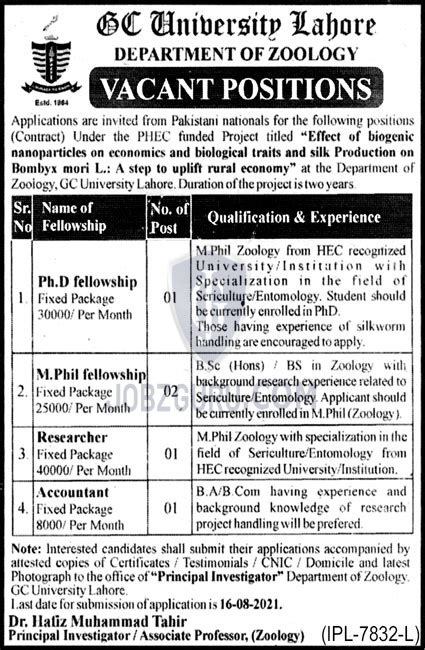 Gc University Lahore Latest Jobs Advertisement Image Jobzguru