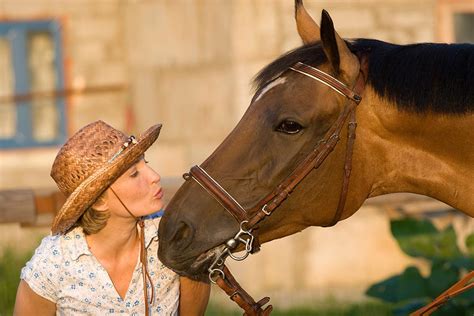 Benefiting From Senior Horse Therapy Equine Therapy For Seniors