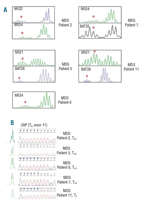 Microsatellite Instability Induced Mutations In Dna Repair Genes Ctip