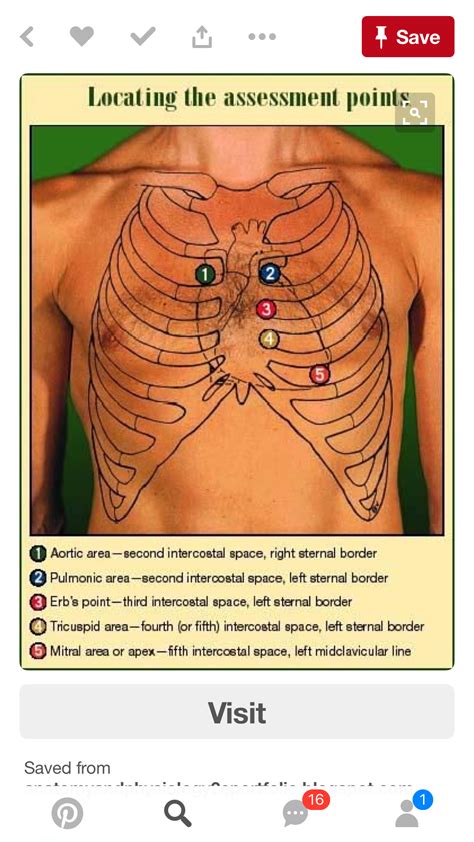 Pin by Tarah David on Heart Sounds | Medical education, Nursing ...