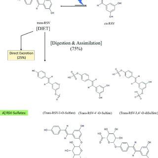 Resveratrol isomers & its immediate metabolites. | Download Scientific Diagram