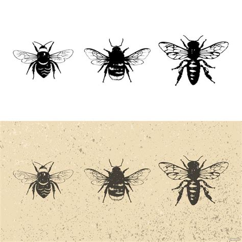 Vintage Bee Vector In Illustrator Svg  Eps Png Download