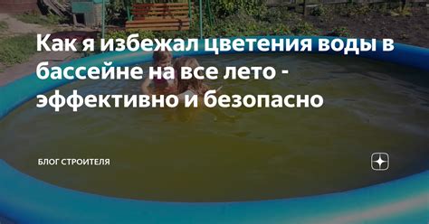 Как я избежал цветения воды в бассейне на все лето - эффективно и ...