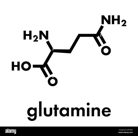 Glutamate Amino Acid