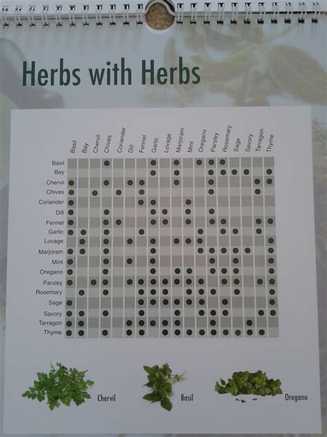 Herbs To Plant Together Chart