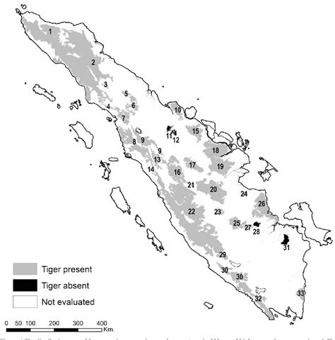 [PDF] Sumatran tiger (Panthera tigris sumatrae): a review of ...