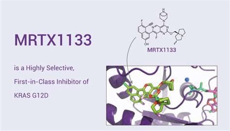 Mrtx1133 Is A Highly Selective First In Class Inhibitor Of Kras G12d