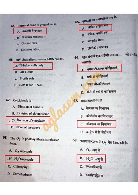 CG B Sc Nursing 2023 Answer Key PDF Available Set A B C D